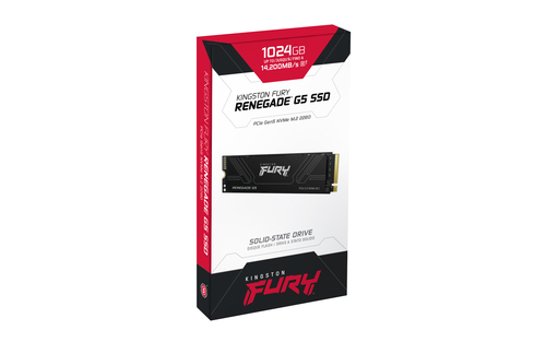 SSD KT FURY RENEG 1TB NVME G5